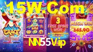 Premium Interface NN55Vip