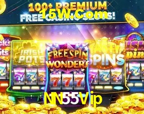 Login Seguro NN55Vip