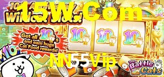 NN55Vip